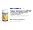 PROSUN PLUS