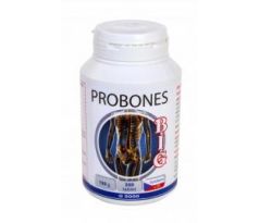 PROBONES BIG - 300 tabliet