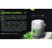 GINKGO GLOBAL